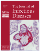 CD4+ T-Cell-Dependent Reduction in Hepatitis C Virus-Specific Neutralizing Antibody Responses - image