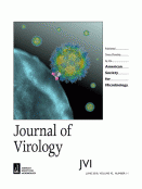 Modulation of Mitochondrial Antiviral Signaling by Human Herpesvirus 8 Interferon Regulatory Factor - image
