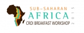 Inter-CFAR Sub-Saharan Africa (SSA) Working Group  CROI Breakfast Specific Aims Workshop for Early Career Investigators. - image