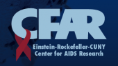 Einstein-Rockefeller-CUNY Representative - Photo
