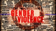 Confronting Gender-based Violence: Global Lessons with Case Studies from India
