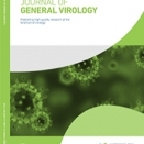 Hepatitis C virus resistance to broadly neutralizing antibodies measured using replication-competent - image